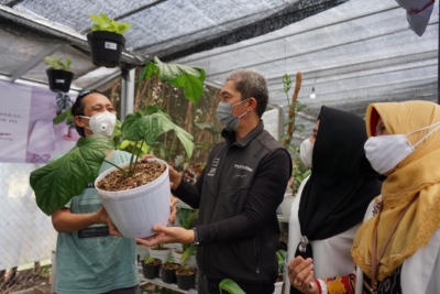 Cara Sukses Membuka Bisnis Tanaman Hias di Tahun 2026