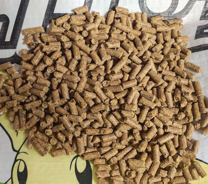 Cara Membuat Pelet Kelinci yang Berkualitas dan Ekonomis