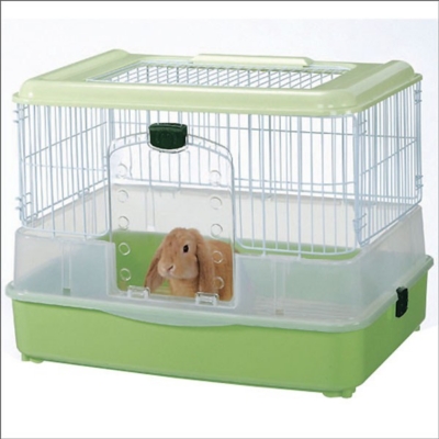 Cara Beternak Kelinci Lokal yang Mudah dan Menguntungkan